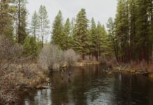 The Unlikeliest Fishing Buddies | Field & Stream