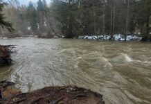 2022: a year in review for angling local waters, both salt and fresh water