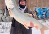 Midwest Fishing Report: Perch (and laker) bite on southern Lake Michigan and ice rebuilds inland