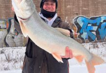 Midwest Fishing Report: Perch (and laker) bite on southern Lake Michigan and ice rebuilds inland