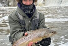 Things to see and do around Western New York