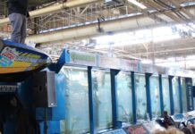 Today’s Sportsman: Outdoor show season has arrived | Frederick County