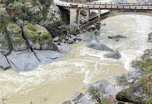 Denis Peirce: Fishing during stormy weather | Lifestyles