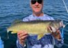 Walleye a major focus in 2023 Greater Niagara Fishing and Outdoor Expo