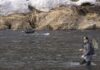Winter flyfishing offers special challenge in Yakima River Canyon | Outdoors and Recreation