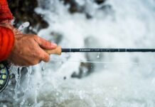 Sage intros new SALT R8 fly rod series | Hatch Magazine