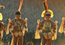 Series of small dams pose big cumulative risk to Amazon’s fish and people