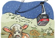 Cow Chips 2022: Time to unveil the odds and ends of the past year’s interesting occurrences