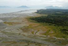 An 8-bridge fish passage project near Gustavus has been finished