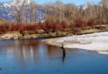 Don’t wait to buy your 2023 hunting/fishing licenses