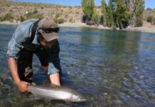 The Geography of Patagonia: The Northern Zone