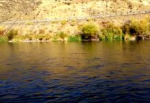 Video Pro Tips: How to Make an Overhead Mend