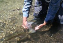 3 Strategies for Spending More Time Fishing This Year