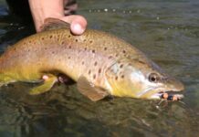 The Geography of Patagonia: The Central Zone