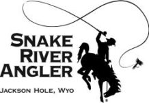Fly Fishing Guide – Experienced and Trainees