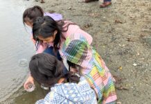 Oroville students release salmon into Feather River – Chico Enterprise-Record
