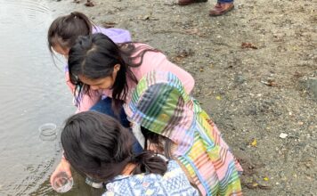 Oroville students release salmon into Feather River – Chico Enterprise-Record