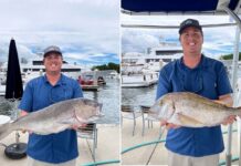 Two New State Record Fish for Florida