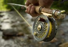 Fly Fishing Market Key Companies and Analysis, Top Trends by 2030