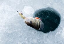 Ice Fishing Tournament Happening in Curt Gowdy This January
