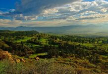 What to See and Where to Go