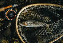 Bozeman, Montana’s Spirit Animal: Beer Drinking Locals Decide