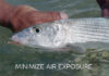 Video: How to Properly Catch and Release a Bonefish