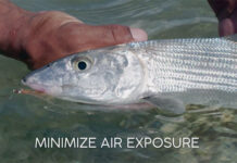 Video: How to Properly Catch and Release a Bonefish