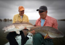 Classic Video: Bulls on Top