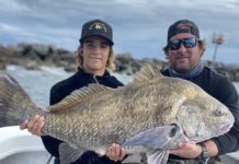 New blood at Highbridge bait shop; sheepshead still ruling the river