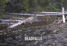 Video: Where to Find Trout in a River or Stream