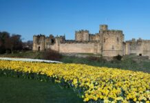 This New Luxe Itinerary Takes You to Windsor Castle and Other Historic Estates Throughout Britain