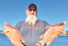 Seize the moment — head to the Gulf for a variety of species