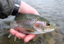 Video: Winter Trout, Iowa-Style – Orvis News