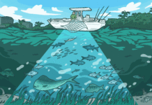 How one fisherman is sustaining his livelihood through environmental advocacy