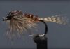 Video: How to Tie the Phat and Phunky Pheasant Tail Nymph