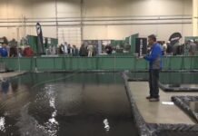 Boise Valley Fly Fishers hosts the Western Idaho Fly Fishing Expo