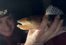 Arkansas Wildlife Weekly Fishing Report