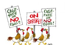 Scuttlebutt & Calendar – Jan. 5, 2023 – The Sopris Sun