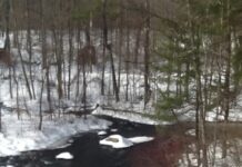 The Fly Tying Season in NH