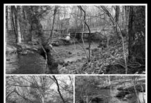 A RIVER CALLED HAMMO