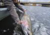 Where to Find Great Lakes Steelhead during Winter