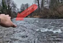 Video Pro Tips: How to Swing Flies for Winter Steelhead in Small Rivers