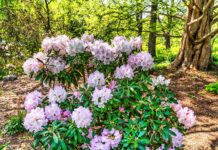 15 Best Things to Do in Acton, MA