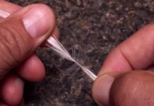 Video: How to Create Perfect Hackle-Fiber Tails