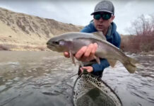 Pro Tips: Twitching Flies in Winter