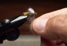 Video: How to Touch-Dub for a Buggy Effect