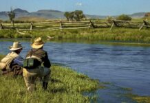 Pro Tips: 3 Ways to Improve Your Approach