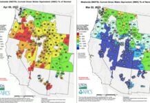 This Year’s Western Snowpack Bodes Well for the Coming Season