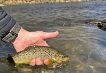 Pro Tips: Spring Tactics on the Gunpowder River